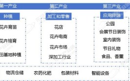 鲜花经济绽活力花卉苗木激活千亿产业链