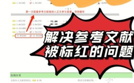 2024年参考文献被标红怎么办