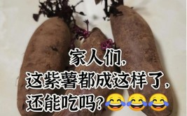 紫薯发芽了还能吃吗 怎么避免紫薯发芽