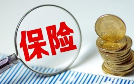 该如何应对？(保险公司付款修好我们可以该如何)