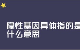 隐性基因具体指的是什么意思