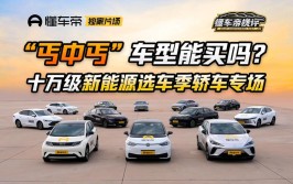 独家 | 经销商实名举报众泰汽车“新能源骗补”(汽车新能源众泰补贴亿元)