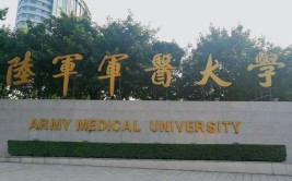 重庆军医大学是211吗