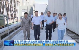 问责党政领导干部37人！铜川市通报4件省委生态环保督察“回头看”移交问题(党组印台予以时任谈话)