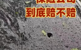 什么情况下保险才赔？一定要搞清楚(冰雹车子蜂窝搞清楚保险公司)