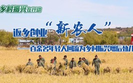 河南获嘉收复失地聚民心乡村振兴发展后劲足