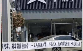 后市场的蛋糕够分吗？(特斯拉养车小拇指门店新能源)