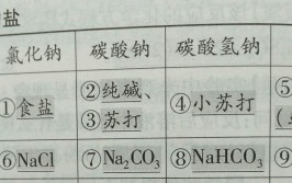 氯化钠的化学式是什么