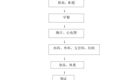 社会考生高考体检流程2024