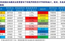 中国电动汽车市场,车型号纷呈，未来可期