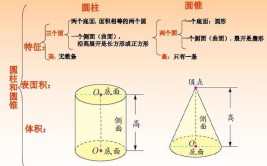 圆柱圆锥有什么特点