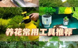 我在家养花常用的几种工具别光买盆栽植物后期维护不可少