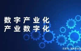 浙江传统制造业向新而行(数字化产业链制造业大唐数字)