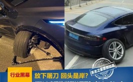 理想ONE压路肩就断轴？车主不干(路肩车主理想不干汽车)