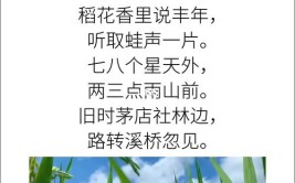 听取蛙声一片是哪诗