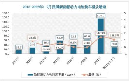 舟山新能源车发展现状与未来展望