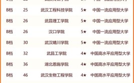 2024湖北历史440分能上什么大学？