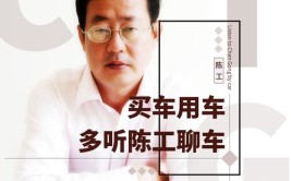 听陈工怎么说(车子汽车骗了国人车主)