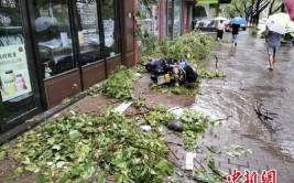 “利奇马”登陆地浙江温岭：55万人受灾 93间民房倒塌(受灾抢修民房万人倒塌)