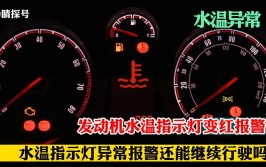 涨知识了 汽车故障灯亮了怎么办(水温指示灯冷却液机油故障)