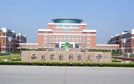 西北农林大学是985吗