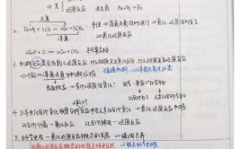 学化工的后来都干啥了