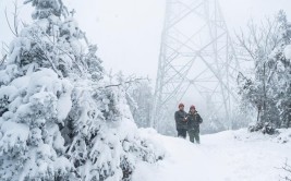 六安多部门这样应对(雨雪暴雪应对天气将至)