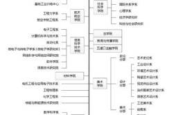 院系名称填写什么