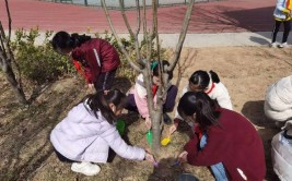 郑州市惠济区实验小学我与绿植共成长