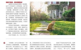 租客养流浪猫狗导致别墅受损房东如何索赔