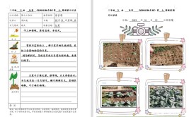 小种植大乐趣联和吴汉小学种植研究手册优秀作品展示