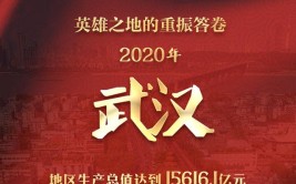 武汉交出全年经济答卷：稳住基本盘 按下“快进键”(亿元疫情企业新华网按下)