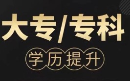 小学没毕业可以考成人大专吗