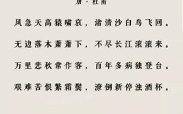 唐诗有什么特点