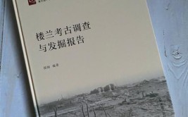 因为“缺纸”而迟到35年的楼兰考古报告(楼兰考古报告研究出版)