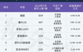 想在洛阳购置新能源汽车？先来了解一下市场行情(新能源汽车充电万元号牌)