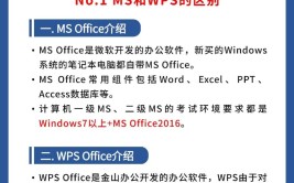 WPS还是OFFICE计算机二级科目这样选容易过