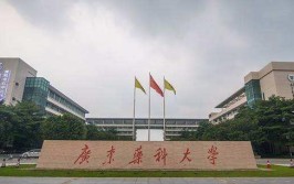 广东药科大学是985还是211