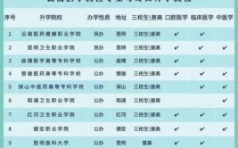 2024医科类二本大学有哪些