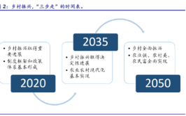 国家为什么要实行乡村振兴的战略