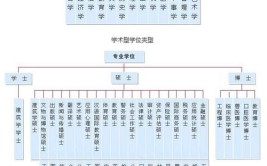 本科研究生硕士博士的顺序是什么