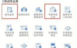 快来看看怎么选号？(新能源号牌汽车选号专用)