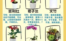 16种花草绿植的养护要点新手花友照着养就好