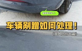 因车辆剐蹭多人被殴打 陕西将严查黑恶势力追查保护伞(除恶村民殴打施工万元)