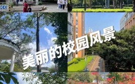 广东外语外贸大学有哪些学院？