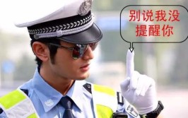 交警也拿你没办法！(交警你没改装也拿办法)