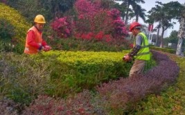 养护绿地布置花卉全市园林绿化养护复工复产有序推进