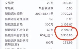 修要20万！真是买得起，用不起？(新能源汽车买得起保费现状)