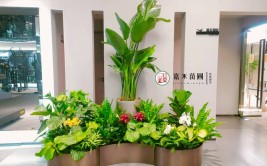 西安花卉绿植租赁｜办公楼办公室绿植布置设计摆放