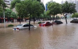 广东多地突降暴雨！网友：原来“雨神”来了....(来了暴雨突降网友雷雨)